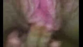 惠特尼康罗伊