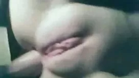 摇晃山雀
