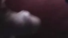 研究肛门试验
