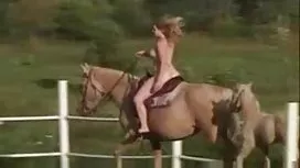 成熟的肛门2