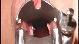 性感的秘书。