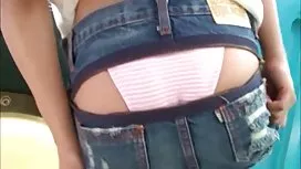 冬青体