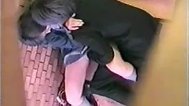 与学生当归的美丽性