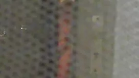 狂热在健身房